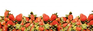 strawberry-border-1241800-1599x1066