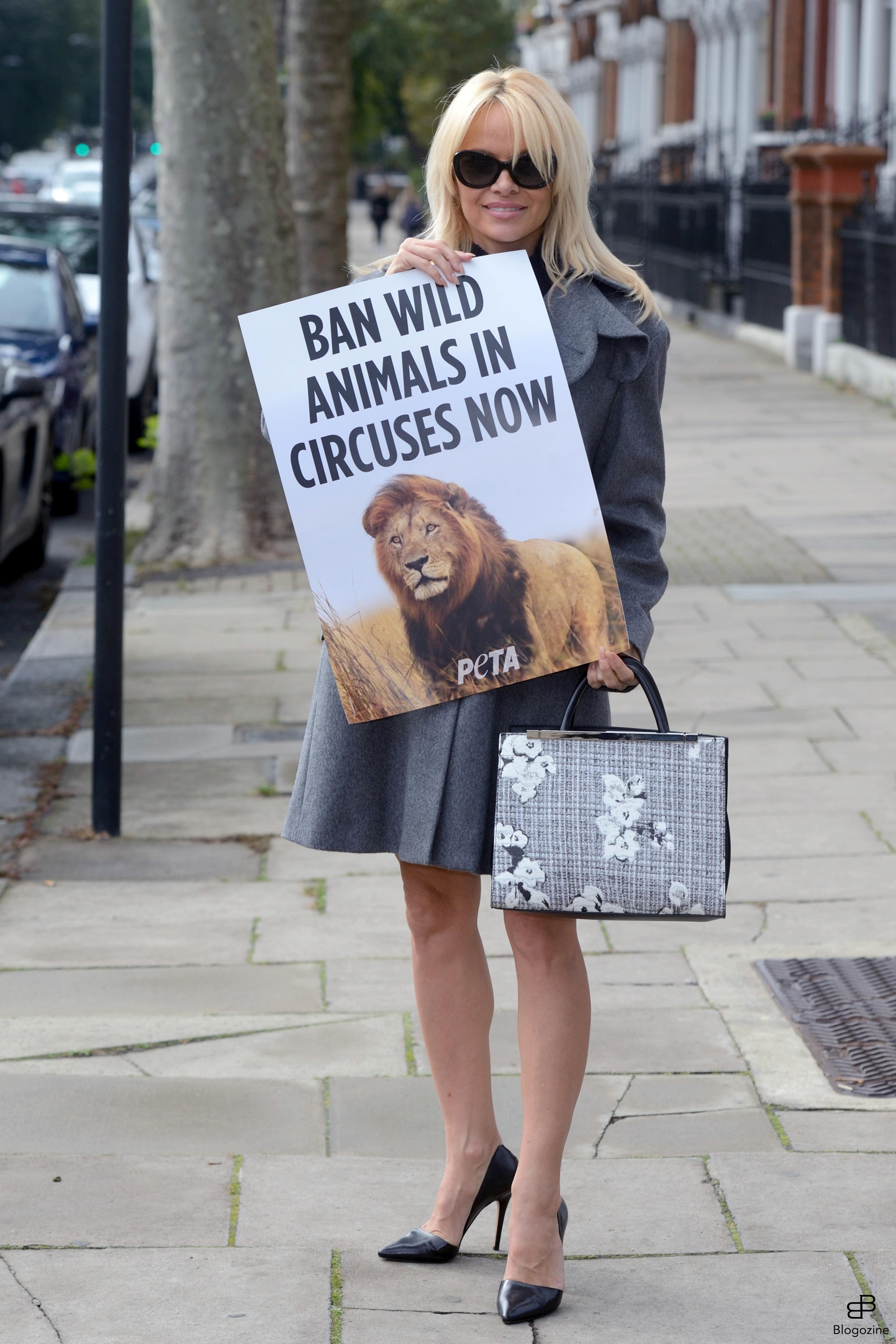 6352481 Pamela Anderson urges Prime Minister Theresa May to ban wild-animal circuses during a PETA Photocall in London, England on October 12, 2016. Photo by Aurore Marechal/ABACAPRESS.COM COPYRIGHT STELLA PICTURES