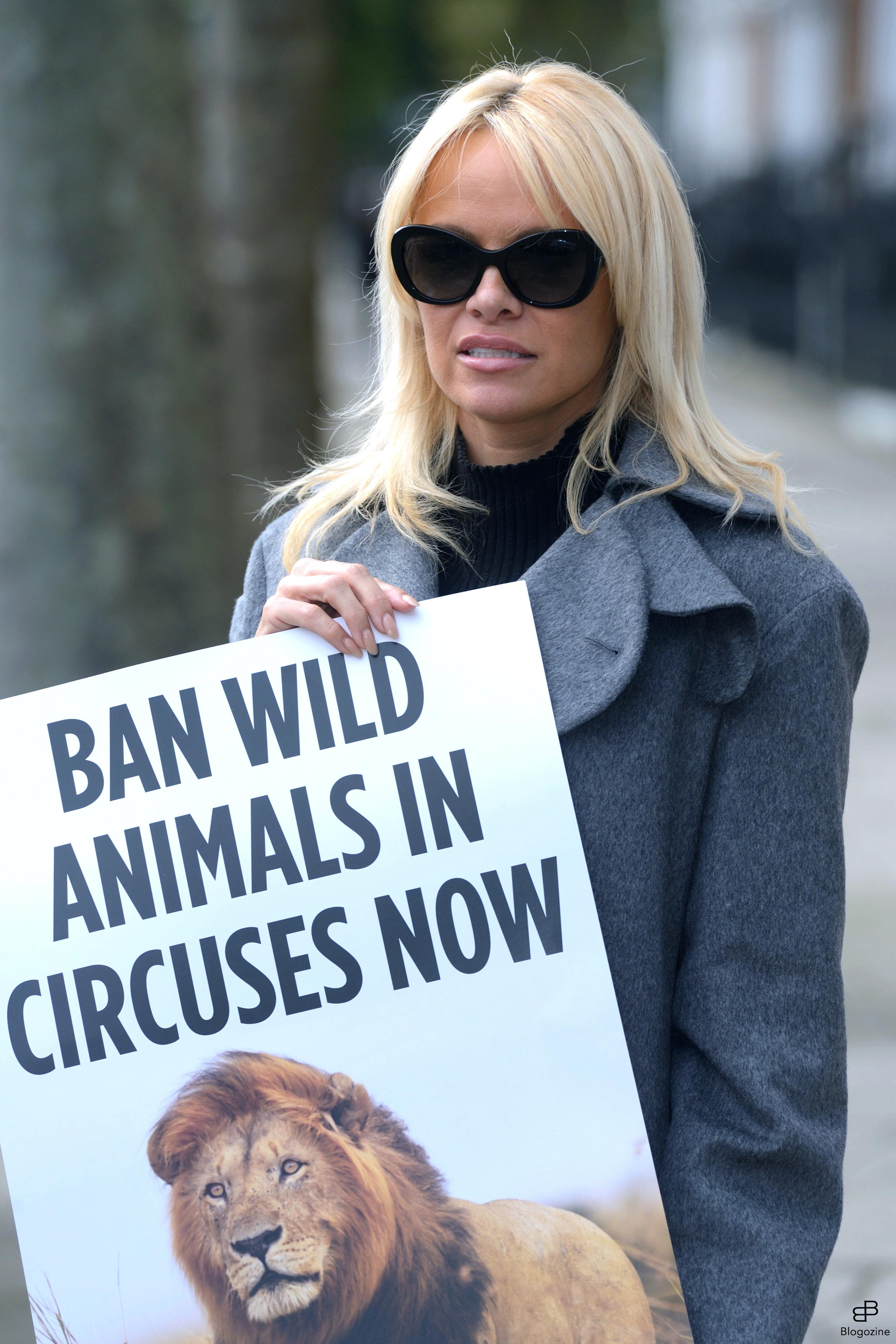6352485 Pamela Anderson urges Prime Minister Theresa May to ban wild-animal circuses during a PETA Photocall in London, England on October 12, 2016. Photo by Aurore Marechal/ABACAPRESS.COM COPYRIGHT STELLA PICTURES